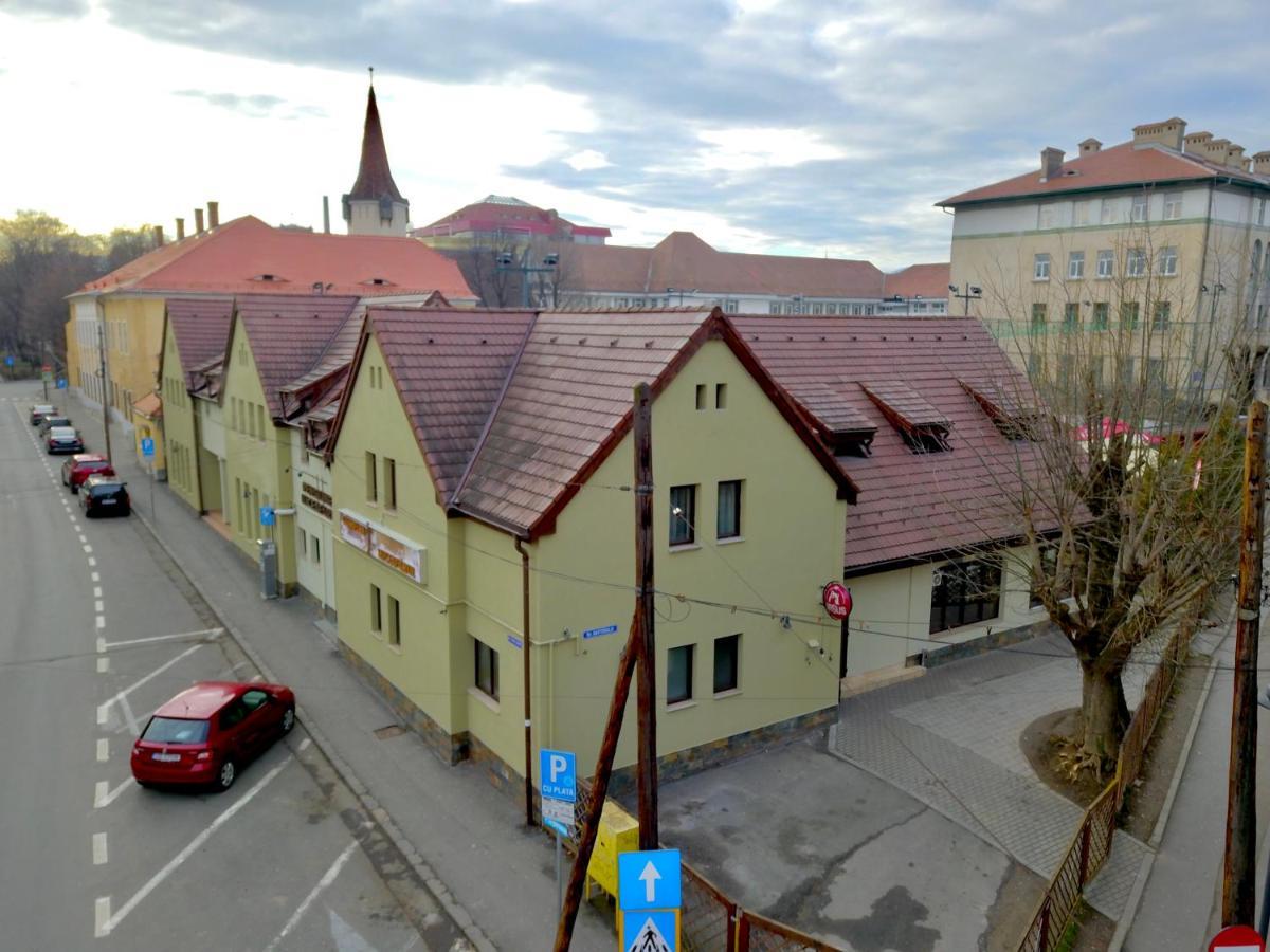 Pensiunea Luceafarul Сибиу Экстерьер фото